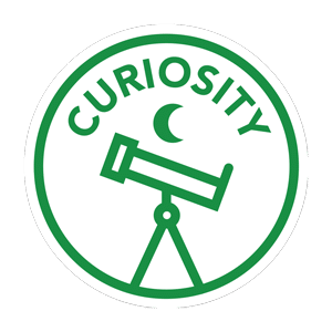Curiosity and Youth Entrepreneurship Lessons