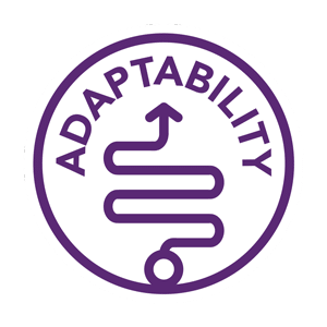 Circular logo with the word "Adaptability Mindset" around the border and a stylized image of a flexible, winding strip in the center, using a purple and white color scheme.